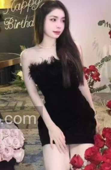 从晚宴到游艇派对：精英社交圈中的伴游