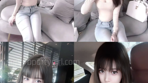 companion screening standards